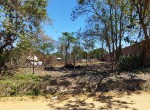 IMG_20220902_113508