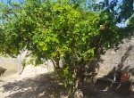 IMG_20231221_091125
